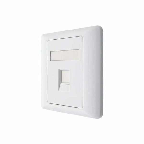 Wall panel with 2 pieces of FTP Cat5e Keystone Jack 2 1jpg