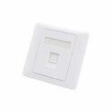 Wall panel with 2 pieces of FTP Cat5e Keystone Jack 3 1jpg - - Innocom — სანდო IT პარტნიორი მცირე და საშუალო ბიზნესისთვის wall panel with 2 pieces of ftp cat5e keystone jack 3 1jpg - - innocom — სანდო it პარტნიორი მცირე და საშუალო ბიზნესისთვის