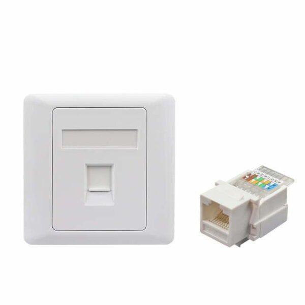 Wall mount panel with 2 UTP Cat5e keystone jack 1jpg