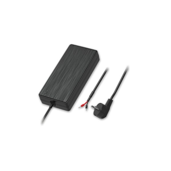 Teltonika EU 2-PIN POWER SUPPLY, 250W (FOR TSW200)